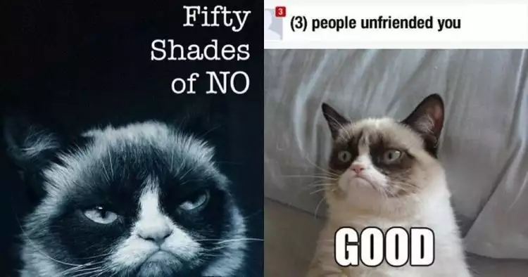 10 Meme Grumpy Cat ini bikin kamu tersenyum sambil geleng-geleng