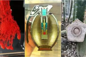 15 Foto langka ini ungkap sisi lain benda sekitar, bikin kamu melongo