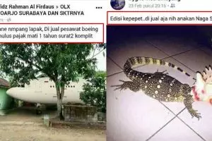 Tak masuk akal, 10 barang dijual online ini bikin ngakak geleng kepala