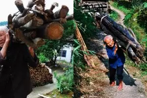Berusia satu abad, nenek ini kuat gendong kayu naik-turun bukit