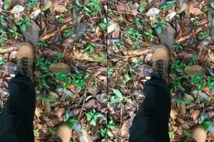 Coba kamu temukan ular di dekat kaki pria ini, banyak yang nyerah lho