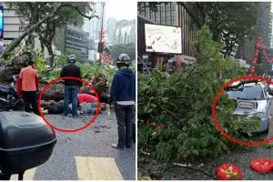 Tragis, baru sehari menikah pasangan suami istri ini tertimpa pohon