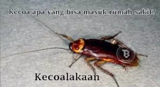 Tebak-tebakan receh © 2021 brilio.net Tebak-tebakan receh © 2021 brilio.net