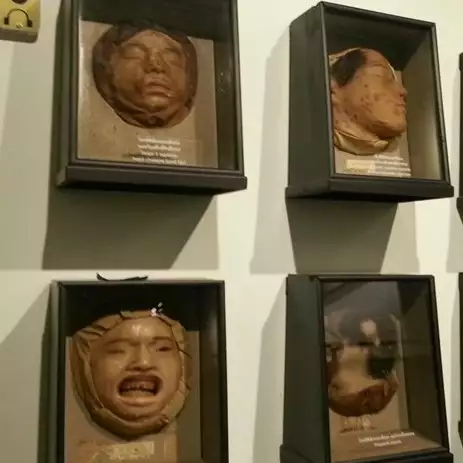 Koleksi ratusan mayat, 7 potret museum ini bikin pengunjung merinding