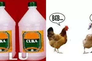 13 Meme pelesetan kata receh banget ini konyolnya ampun dah