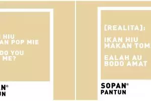 85 Pantun gombal ikan hiu, buat doi tersipu malu