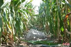 Mirip bongkahan batu, gunung di China ini disebut terkecil di dunia