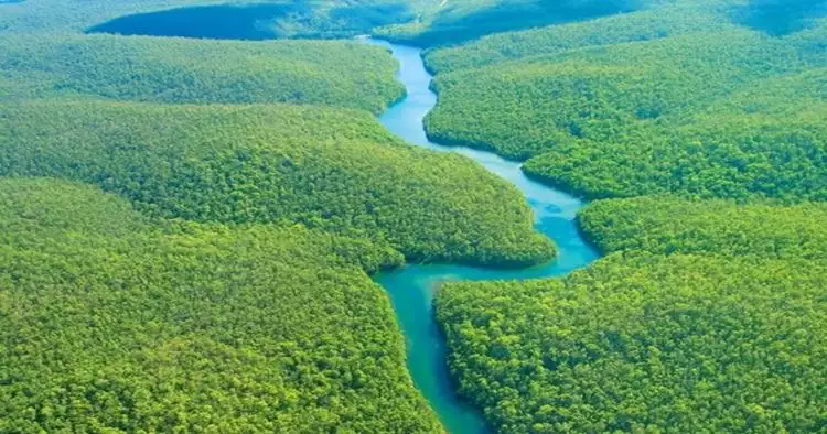 5 Sungai paling ngeri di dunia, perenang terbaik aja keok sama arusnya