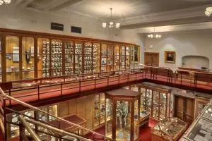 4 Koleksi mengagetkan di Museum Mutter, salah satunya otak Einstein