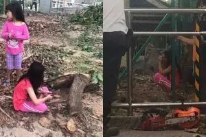 Kisah di balik foto anak kecil menangis di depan pohon ini bikin haru