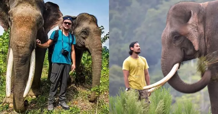 10 Beda Chicco Jerikho & Leo DiCaprio saat kampanye perlindungan gajah