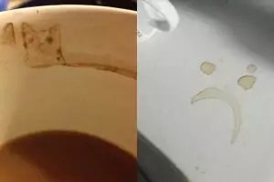 10 Bekas kopi ini tidak sengaja membentuk gambar unik, wow!