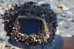 Kamera hilang 2 tahun di laut, dibuka isinya kisah wanita mengejutkan
