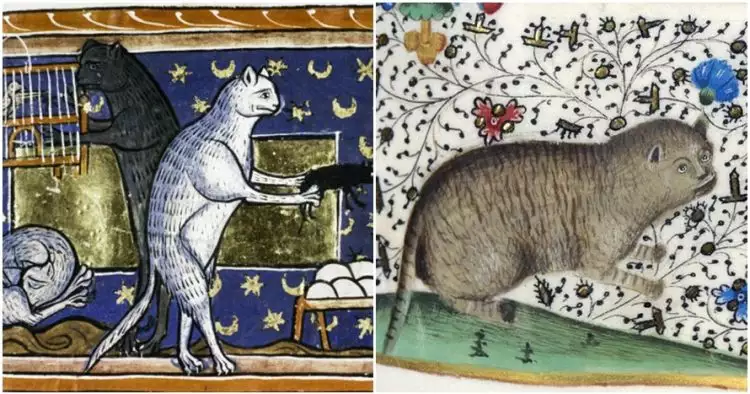 10 Potret kucing di lukisan abad pertengahan, bentuknya unik dan aneh