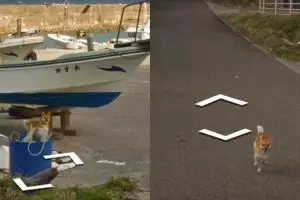 9 Aksi anjing lari-larian ikuti mobil Google Maps, penasaran banget