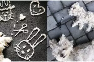 8 Karya dari hasil mencukur bulu anjing ini kreatif banget