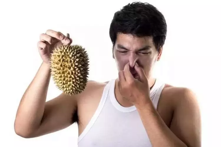 Ini alasan ilmiah durian memiliki bau yang sangat menyengat