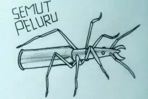 Sketsa sederhana 10 hewan yang namanya unik ini bikin senyum ceria