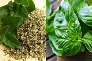 Bukan cuma dari Indonesia, 10 rempah-rempah ini khas makanan Barat