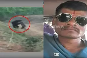 Berusaha selfie dengan beruang, nasib pria ini berakhir tragis