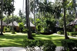 Penginapan ini usung konsep unik, mewah tapi kamar mandinya di luar   