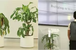 Eksperimen dampak tanaman saat dibully ini ungkap fakta mengejutkan