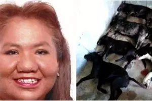 Tragis, wanita ini tewas diserang 7 anjing peliharaan tetangganya