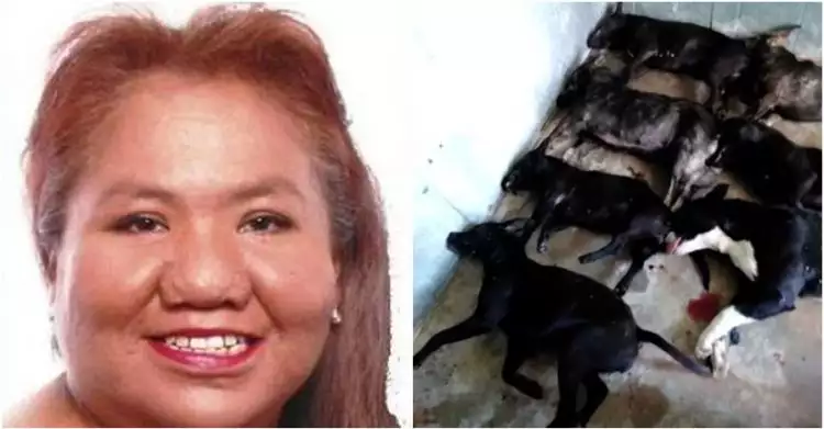 Tragis, wanita ini tewas diserang 7 anjing peliharaan tetangganya