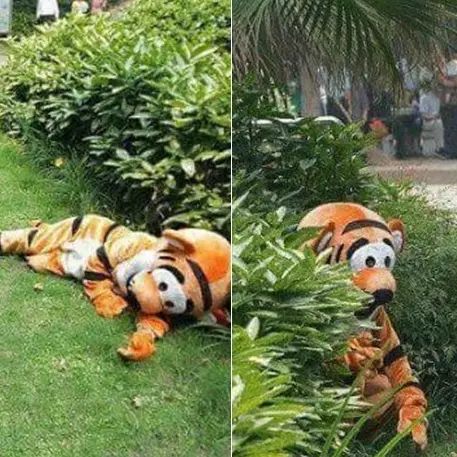 Simulasi penangkapan harimau ini bukannya serem malah konyol