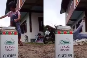 7 Video Tik Tok banyak gaya berujung failed, pengen ketawa takut dosa