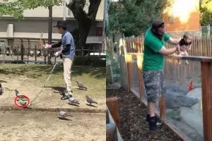 10 Potret absurd ini susah dijelaskan dengan kata-kata