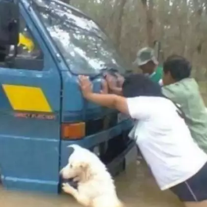 10 Momen manusia-hewan saat sedang susah dan senang ini bikin salut