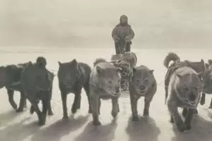 15 Foto langka ekspedisi Antartika pertama, dijepret 100 tahun lalu