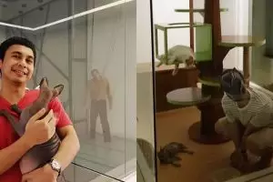Kocak nan imut, ini 9 momen Raditya Dika main dengan kucingnya