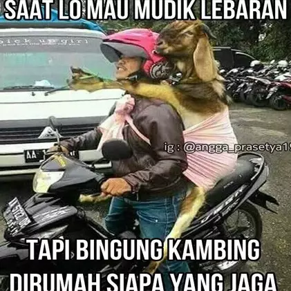 17 Meme kocak mudik Lebaran ini dijamin bakal mengocok perutmu