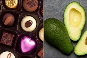 10 Makanan manusia ini ternyata berbahaya untuk anjing, waspada!