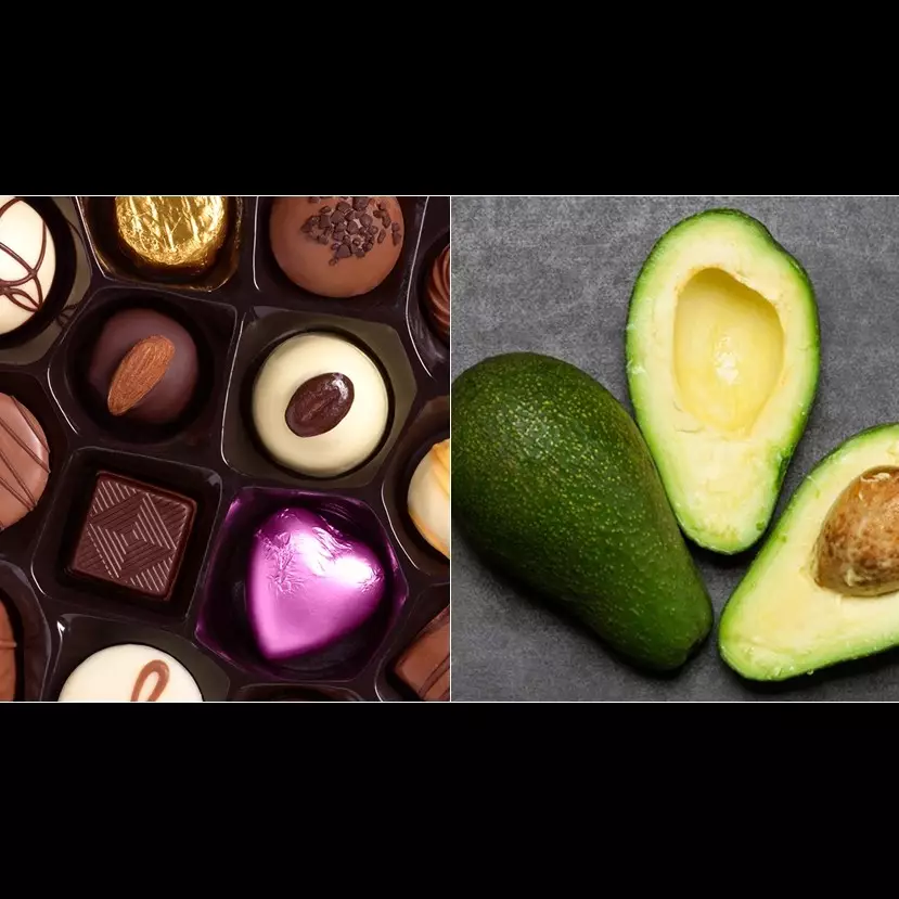 10 Makanan manusia ini ternyata berbahaya untuk anjing, waspada!