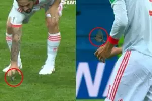 Selamatkan burung 'nyasar' di lapangan, ini yang didapat Isco & Pique