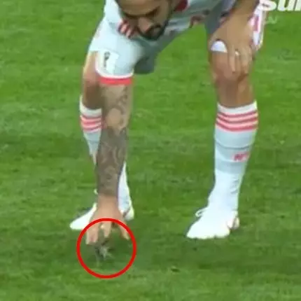 Selamatkan burung 'nyasar' di lapangan, ini yang didapat Isco &amp; Pique