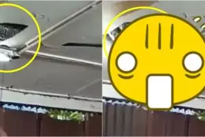 Dikira gangguan makhluk halus, yang ditemukan keluarga ini bikin syok