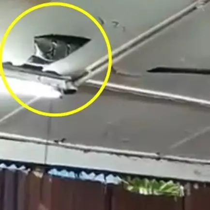 Dikira gangguan makhluk halus, yang ditemukan keluarga ini bikin syok