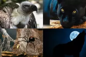 Pilih 1 dari 5 hewan ini, hasilnya bisa ungkap sisi gelap dirimu
