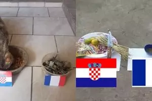 7 Prediksi hewan jelang final Piala Dunia 2018 ini ngeselin tapi kocak