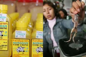 Ini 7 minuman ekstrem dari organ hewan di berbagai negara, kamu mau