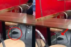 Reaksi staf restoran saat temukan tikus ini bikin pengunjung syok 