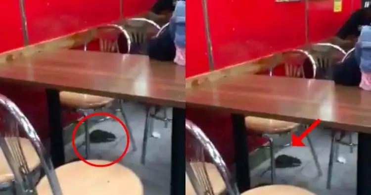 Reaksi staf restoran saat temukan tikus ini bikin pengunjung syok 