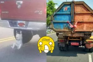 8 Benda tersangkut kendaraan ini bikin ngakak sambil mikir keras