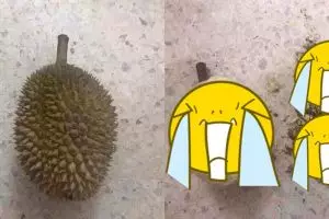 Istri minta suami kupas durian, hasilnya mengejutkan