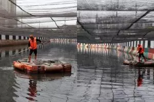 4 Cara Pemprov DKI ini tak atasi masalah Kali Item, pusat turun tangan