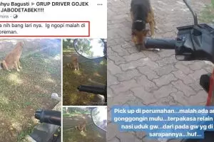 5 Kisah driver ojol dicegat anjing liar di jalan, auto putar balik deh
